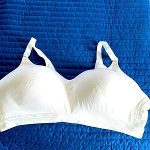 Torrid 48C wireless bra